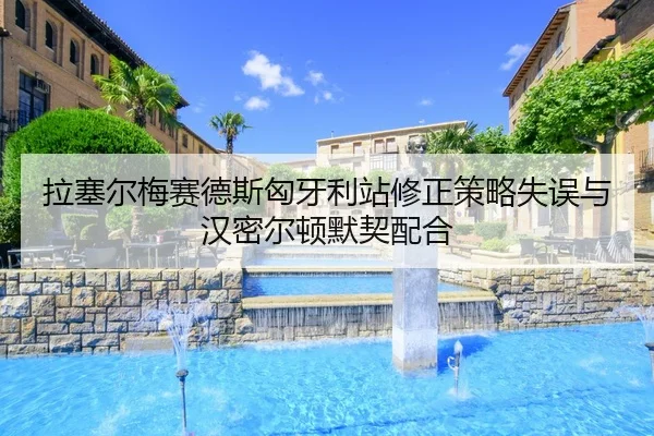 la-sai-er-mei-sai-de-si-xiong-ya-li-zhan-xiu-zheng-ce-lve-shi-wu-yu-han-mi-er-dun-mo-qi-pei-he-3-646.jpg