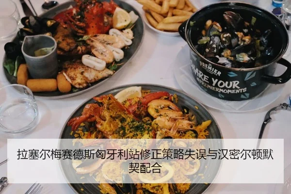 拉塞尔梅赛德斯匈牙利站修正策略失误与汉密尔顿默契配合